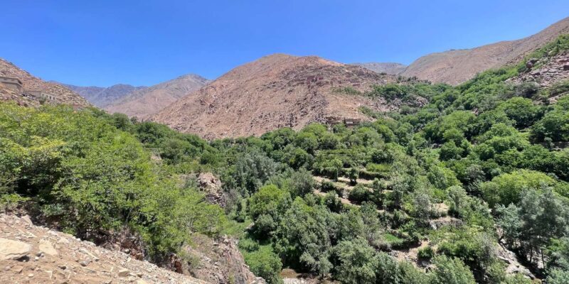 Elite Experience Atlas Mountains Hiking Day trip - Who Will Love This Tour?