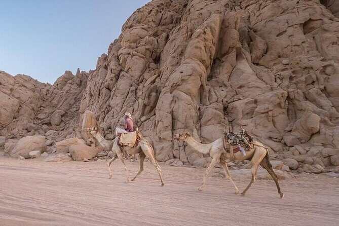 Elite Safari: ATV Quad, Camel, Dinner & Show in Sharm El Sheikh - A Closer Look at the Tour Itinerary