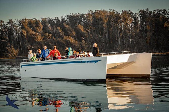 Elkhorn Slough Wildlife Tour - Transportation, Timing, and Price