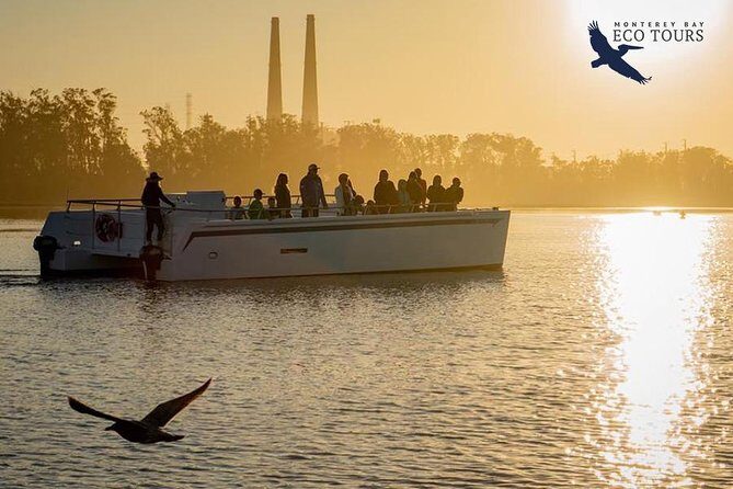 Elkhorn Slough Wildlife Tour - Authentic Experiences and What Travelers Say
