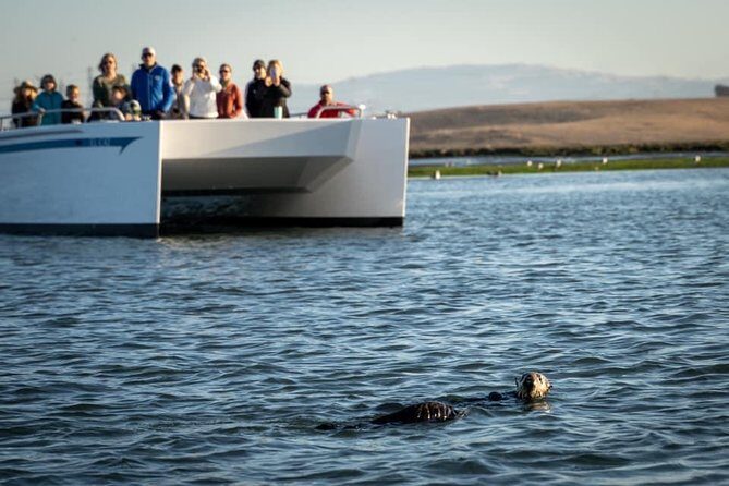 Elkhorn Slough Wildlife Tour - Why This Tour Is Worth Considering
