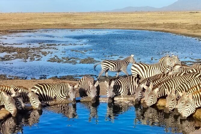 Elky Tours 2 Days Tsavo East Tour - Introduction