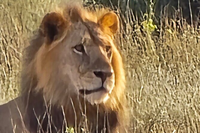 Elky Tours 2 Days Tsavo East Tour - Key Points
