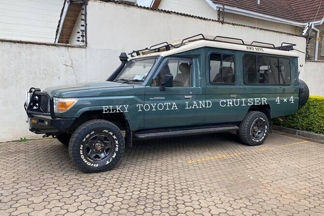 Elkydianibeachtaxis - A Closer Look at Elkydianibeachtaxis