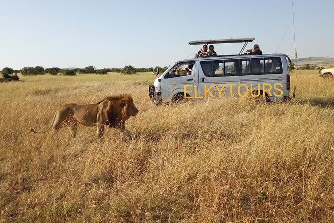 Elkydianibeachtaxis - The Sum Up: Who Should Use Elkydianibeachtaxis?