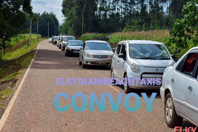 Elkydianibeachtaxis - FAQ