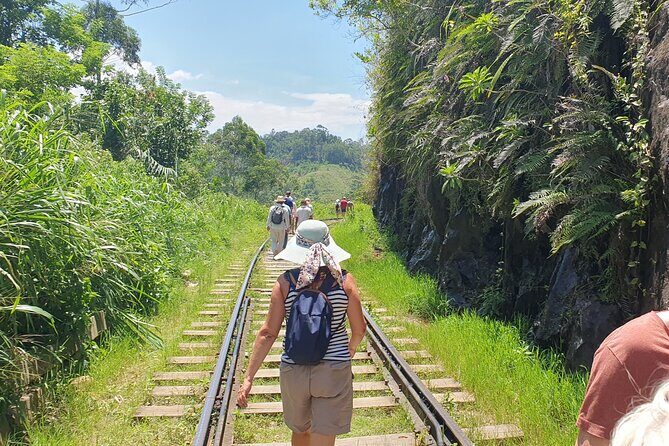 Ella and Yala National park Tour from Colombo - Day 1: From Kandy to Ella via Spectacular Stops