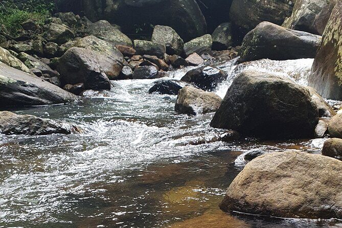 Ella and Yala National park Tour from Colombo - What Past Travelers Say