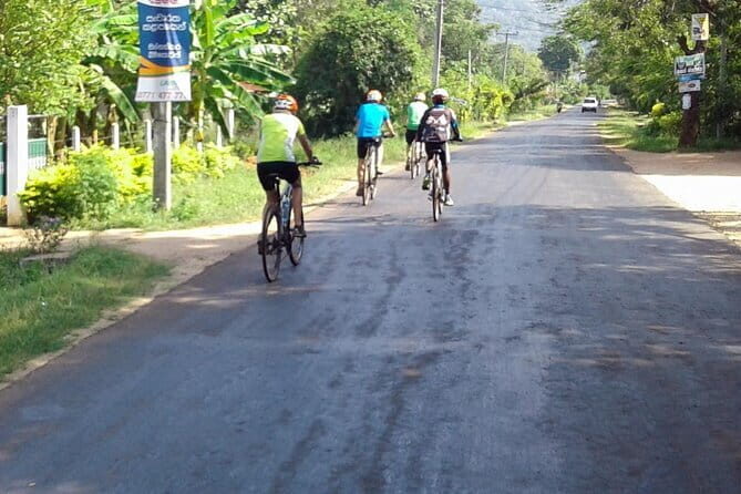 Ella Cycling Experience in Ella - What’s Included and What’s Not