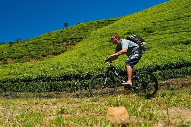 Ella Cycling Tour - What the Reviews Say: Authentic Experiences and Service Concerns
