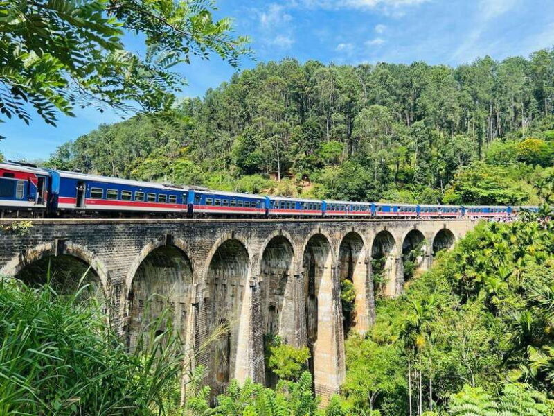 Ella Day Tour from Kandy with tea factory - Who Should Book This Tour?