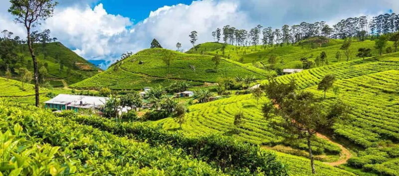 Ella: Day Tour From Kandy with Train Ride - Key Points