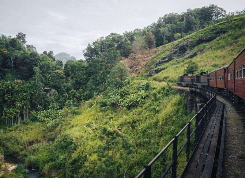 Ella Day Tour: with Tea Factory Visit from Galle - An Authentic Day Trip to Ella from Galle