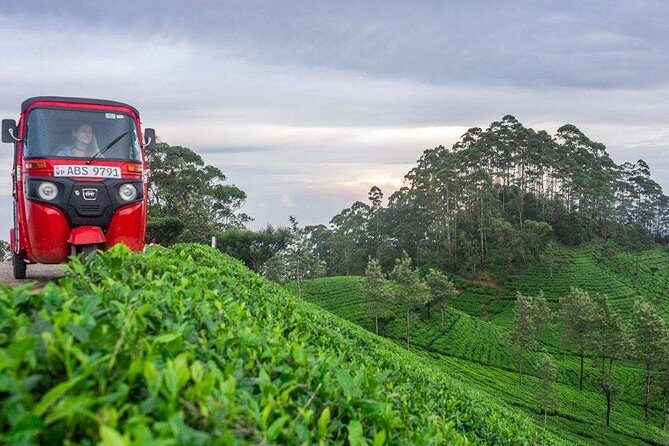 Ella Day Trip from Mirissa, Weligama, Galle, Hikkaduwa - Who is this tour best for?