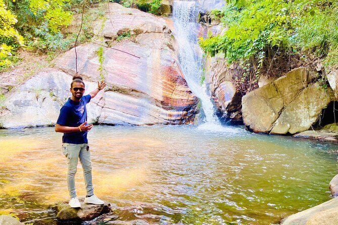 Ella Day Trip with Train Ride Waterfalls and Tea Factory Tour - Key Points