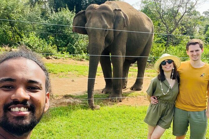 Ella Day Trip with Train Ride Waterfalls and Tea Factory Tour - What the Reviews Tell Us