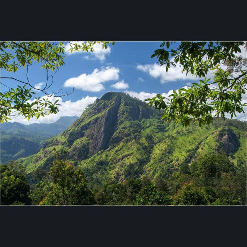 ELLA: Drop to Tangalle/Hiriketiya/Mirissa/Galle & Yala Tour - FAQ