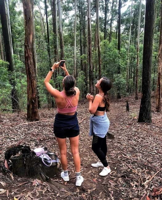 Ella: Ella Rock, 9 Arch, Little Adams Peak, & Waterfall Tour - Key Points