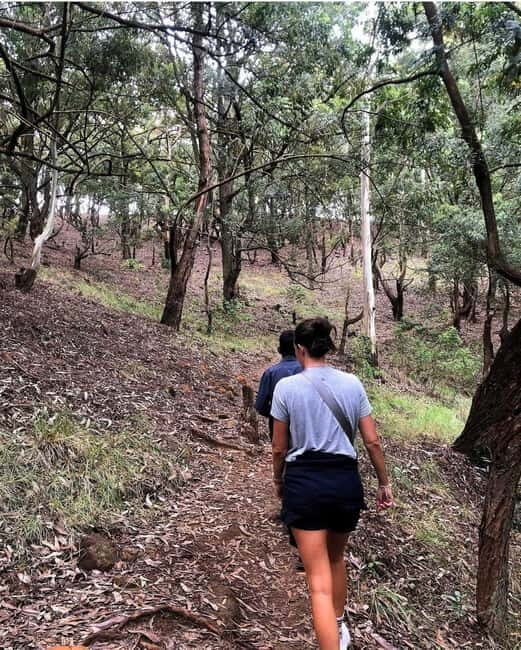 Ella: Ella Rock, 9 Arch, Little Adams Peak, & Waterfall Tour - The Sum Up