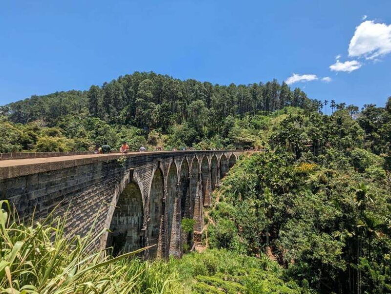 Ella: explore beautiful ella with Lunch and Hotel Pickup - Who This Tour Is Best For