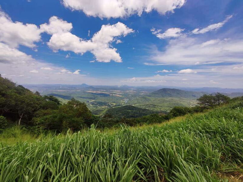 Ella: Guided Day Tour with Tea Estate Visit - A Deep Dive into the Tour Experience