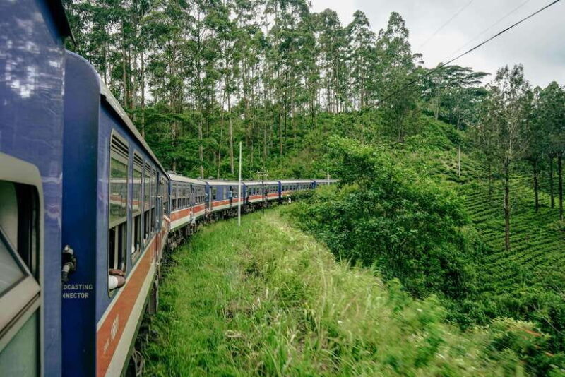 Ella: Guided Day Tour with Tea Estate Visit - Final Thoughts: Is This Tour Worth It?