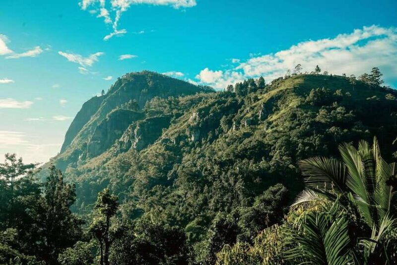 Ella: Guided Day Tour with Tea Estate Visit - FAQ