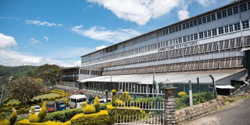 Ella: Lipton's Seat Tour with Dambetanna Tea Factory Visit - Key Points