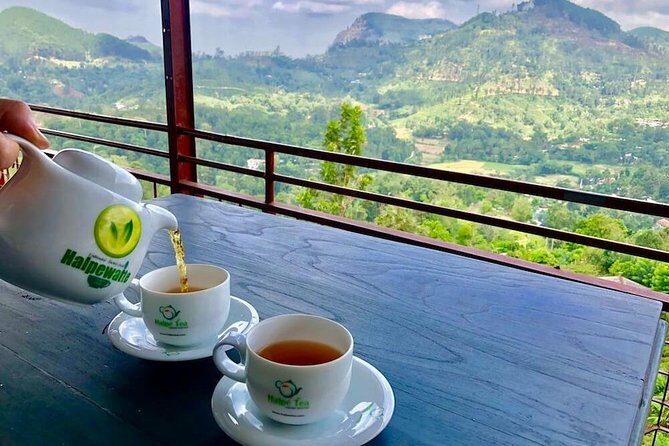 Ella Private Day Tour From Kandy - An Overview of the Tour Experience