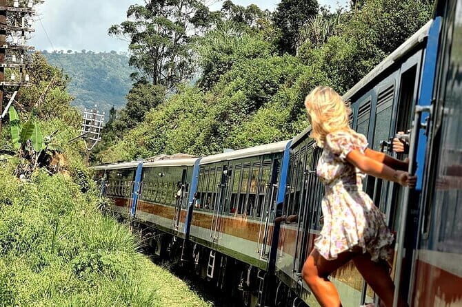 Ella Private Day Tour with Train Ride and Visit to Nine Arch - An In-Depth Look at the Itinerary