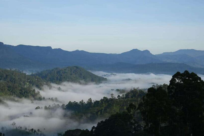 Ella: The Pekoe Trail Stage 16 - Ella to Demodara - Who Should Consider This Tour?