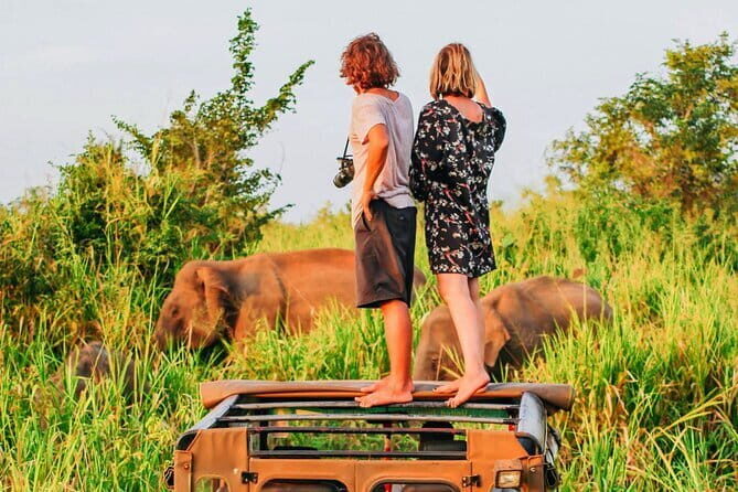Ella to Mirissa Shuttle & Safari Drive - Ella to Mirissa Shuttle & Safari Drive: An Authentic Wildlife Adventure