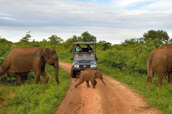 Ella to mirissa/weligama/unawatuna - Practical Tips for Travelers