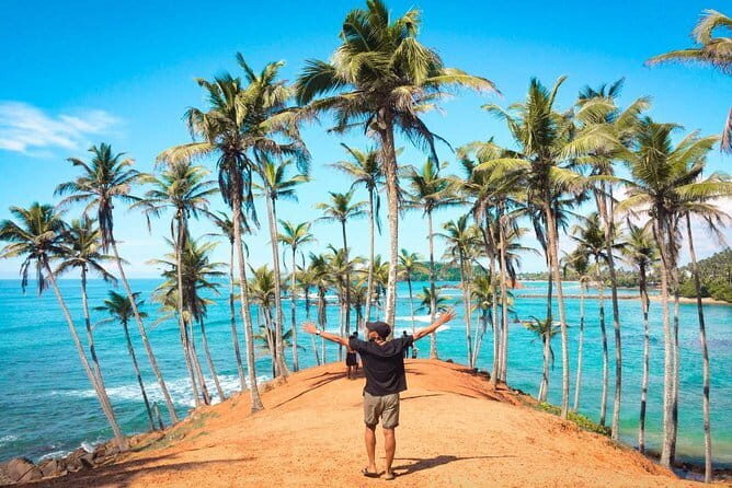 Ella to Mirissa,Weligama,Ahangama (Private Transfer ) - Pricing and Value