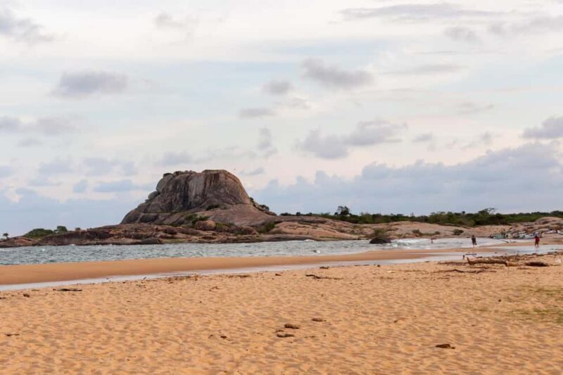 Ella: Transfer to Tangalle/Mirissa/Galle & Yala Safari Tour - Who Should Book This?