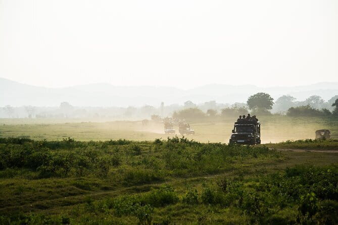 Ella: Transfer to Tangalle/Mirissa/Galle & Yala/Udawalawe Safari - An In-Depth Look at the Tour Experience