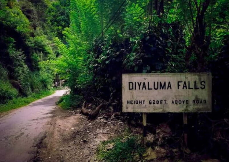 Ella: Tuk Tuk Tour to Diyaluma and Secret Waterfalls - Final Thoughts
