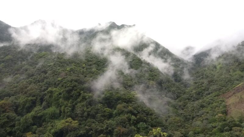 Ella: Waterfall hunting Hike to Bambarakanda and Lanka Falls - FAQ