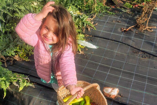 Ellia's Garden: Pick Your Own & Farm Family Fun - An In-Depth Look at Ellia’s Garden