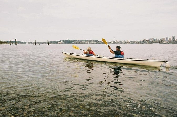 Elliott Bay Sea Kayak Tour - Practical Tips