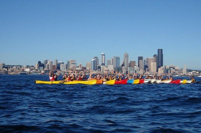 Elliott Bay Sea Kayak Tour - What Past Participants Say