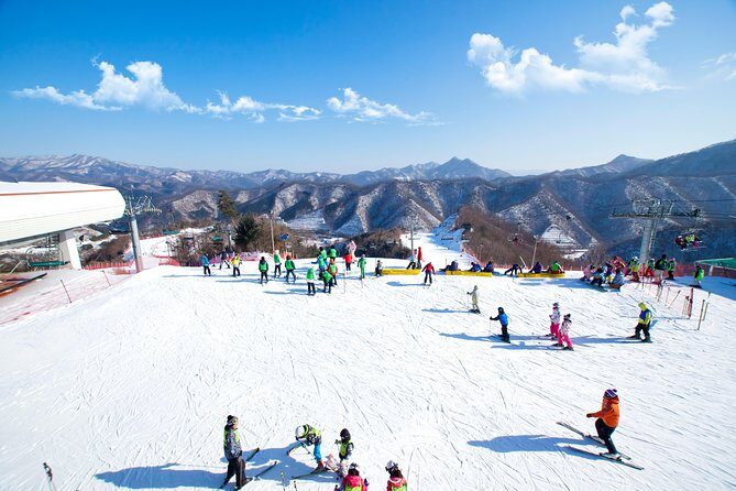 Elysian Gangchon Winter Ski with Nami Island Day Tour from Seoul - A Practical Look at the Elysian Gangchon Winter Ski with Nami Island Day Tour from Seoul