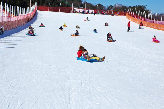 Elysian Gangchon Winter Ski with Nami Island Day Tour from Seoul - Real Traveler Insights