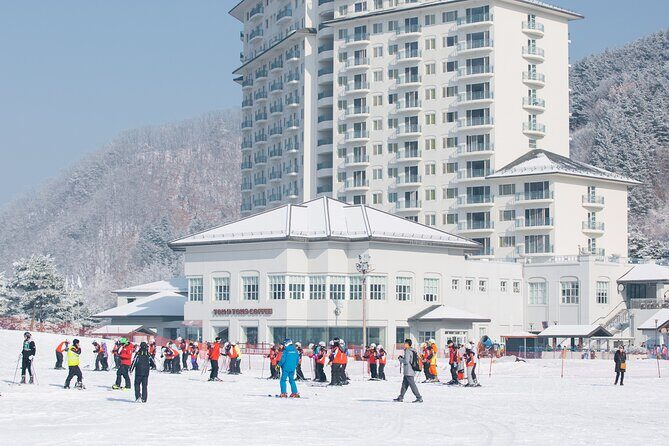 Elysian Gangchon Winter Ski with Nami Island Day Tour from Seoul - Who Will Love This Tour?
