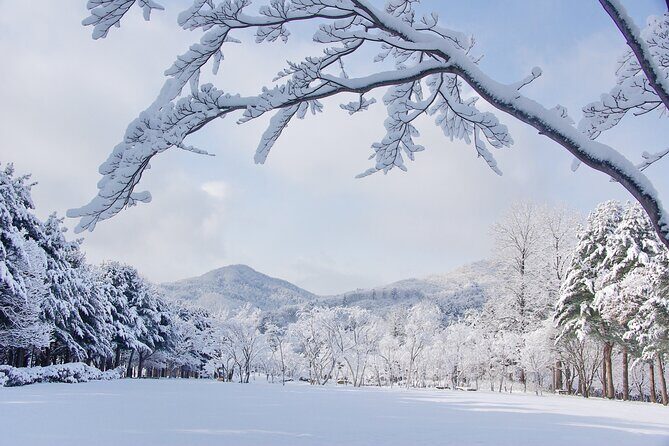 Elysian Gangchon Winter Ski with Nami Island Day Tour from Seoul - The Sum Up