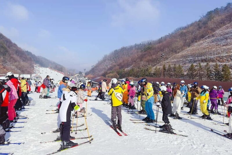 Elysian Ski Day Tour (Ski & Snow Board Full Package) - A Closer Look at the Elysian Ski Day Tour