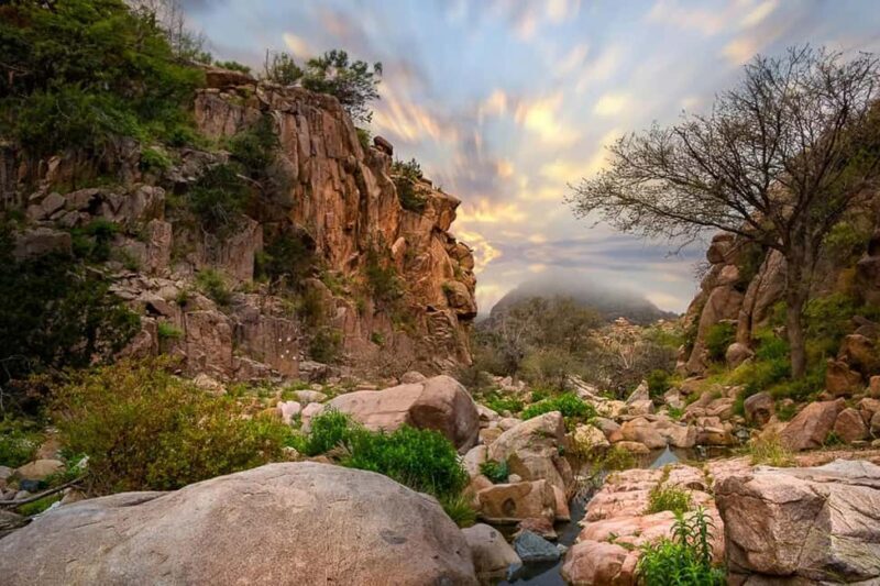 Set out on a Hiking adventure in Taif - An In-Depth Look at the Taif Hiking Tour