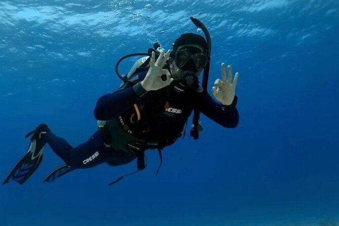 Set out on a Professional and Passionate Scuba Diving Adventure!" - The Logistics: Meeting Point, Duration, and Booking