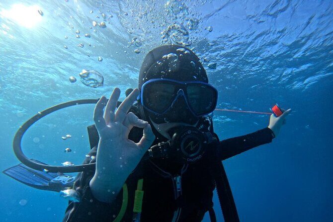 Set out on a Professional and Passionate Scuba Diving Adventure!" - Who Will Love This Tour?