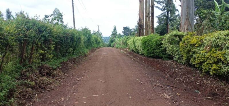 EMBU:Kenya'sCoffee & Tea,Plantations & Tea & Coffee tasting - The Sum Up